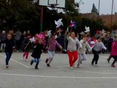 IMG_20181002_093916.jpg